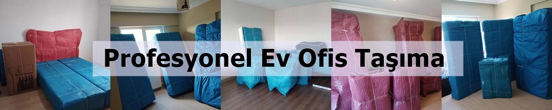 Sevenler Nakliyat görseli